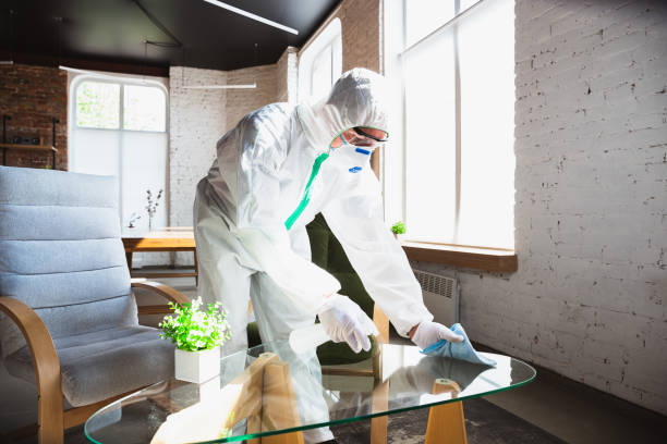 Why You Should Choose Our Mold Remediation Services in Mesita, NM